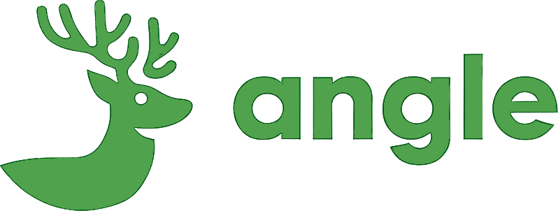 angle logo